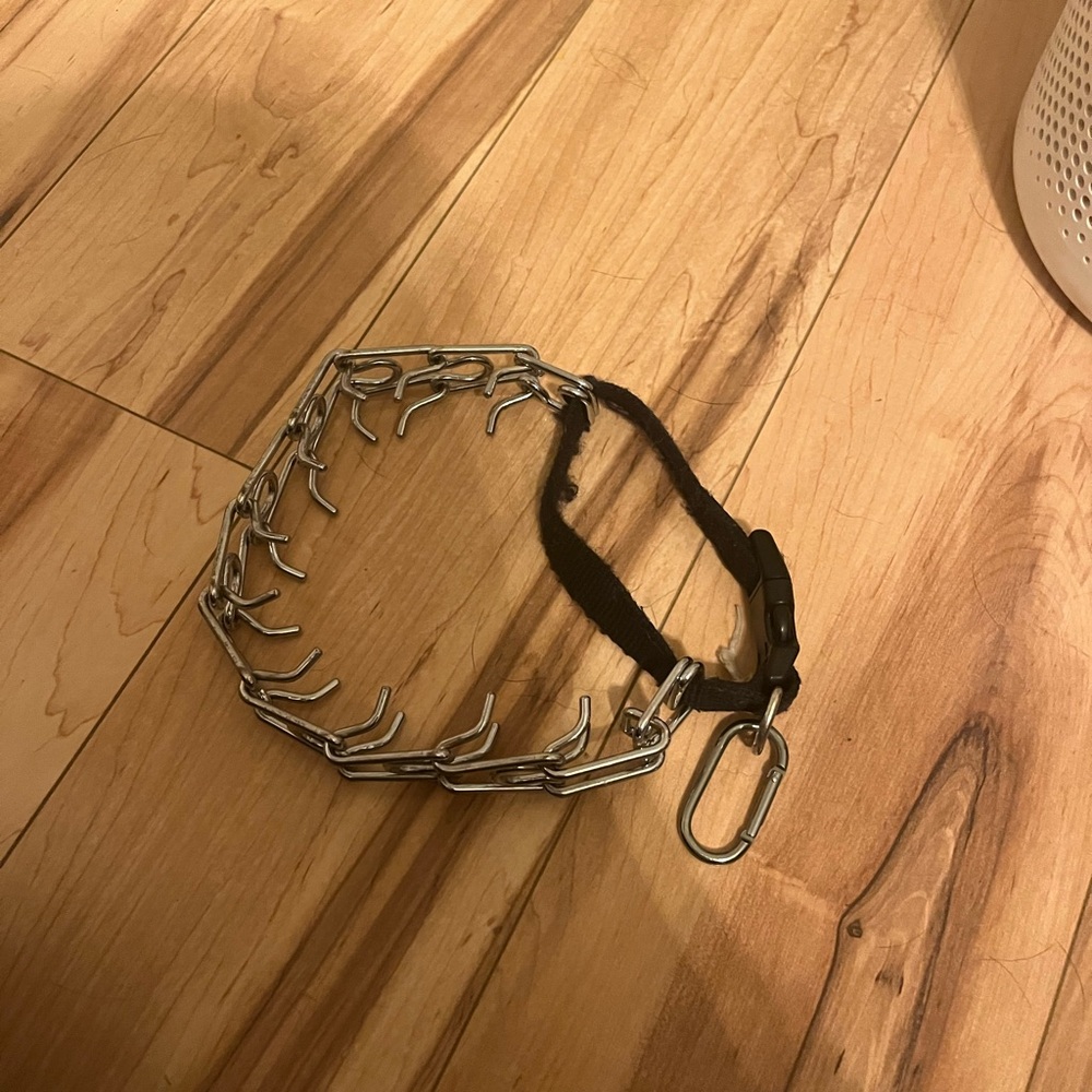 Dog prong collae